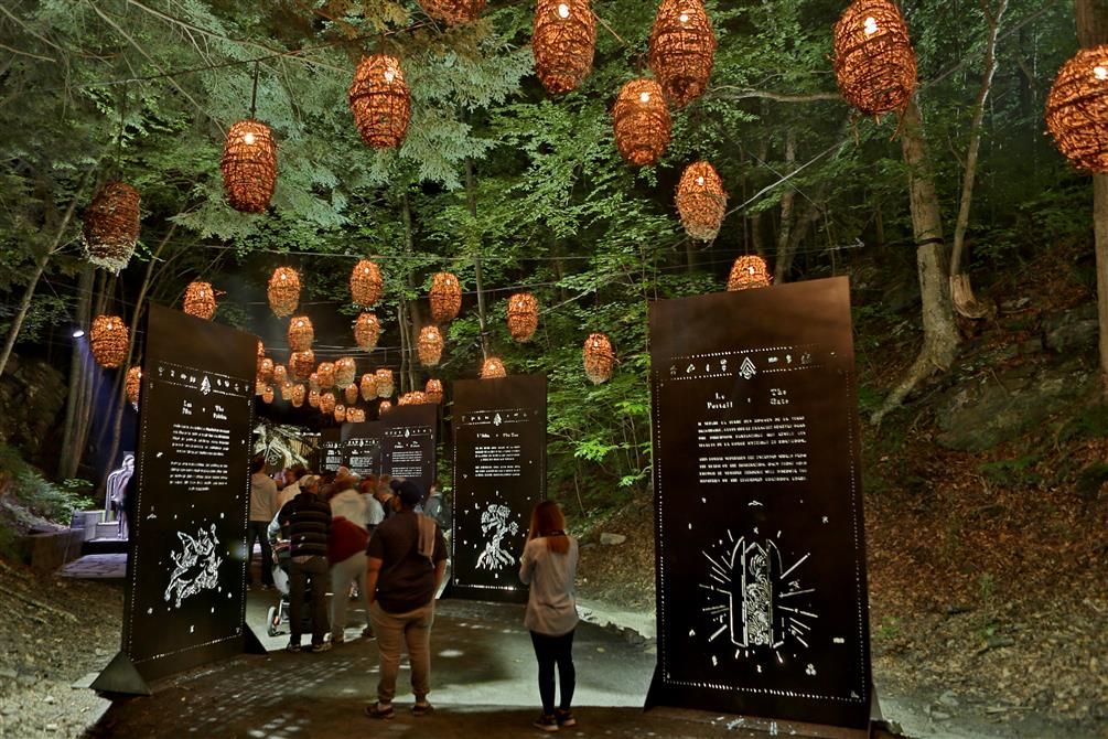 Foresta Lumina (&copy;Parc de la Gorge de Coaticook )