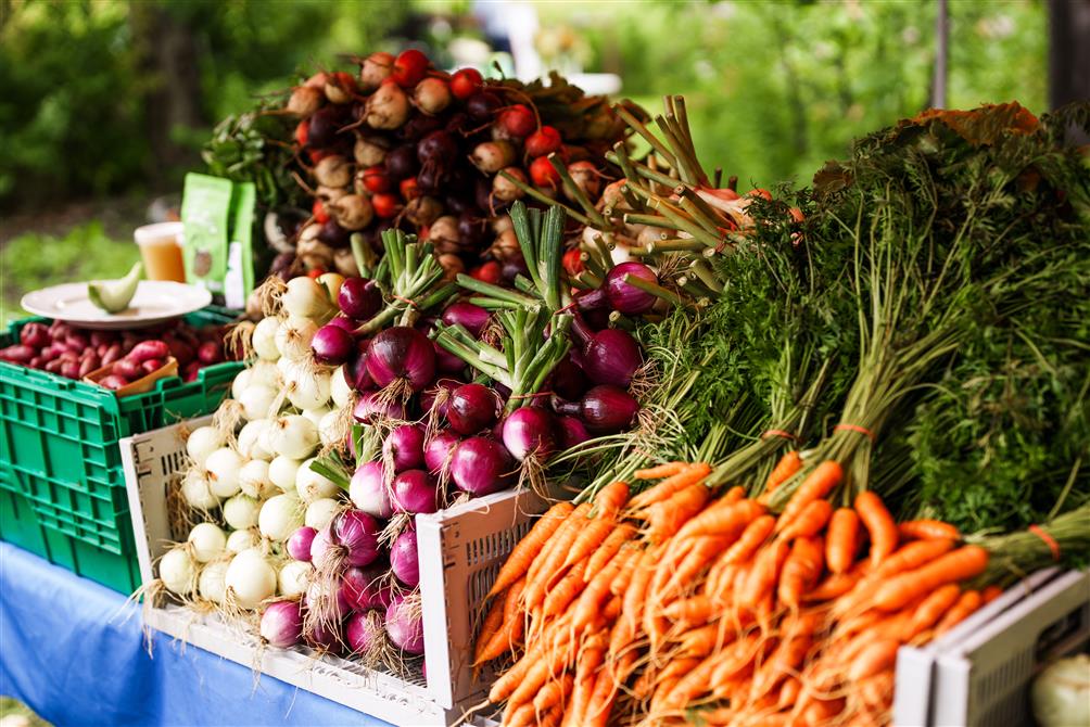 Légumes biologiques (&copy;Charles & Annie Photographie 2024)