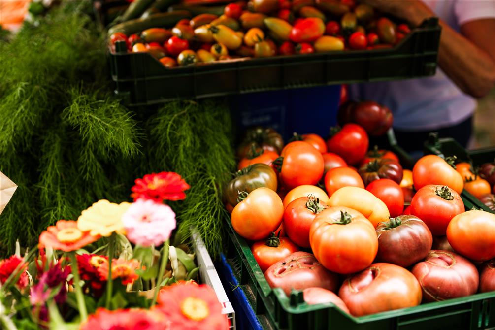 Légumes biologiques (&copy;Charles & Annie Photographie 2024)