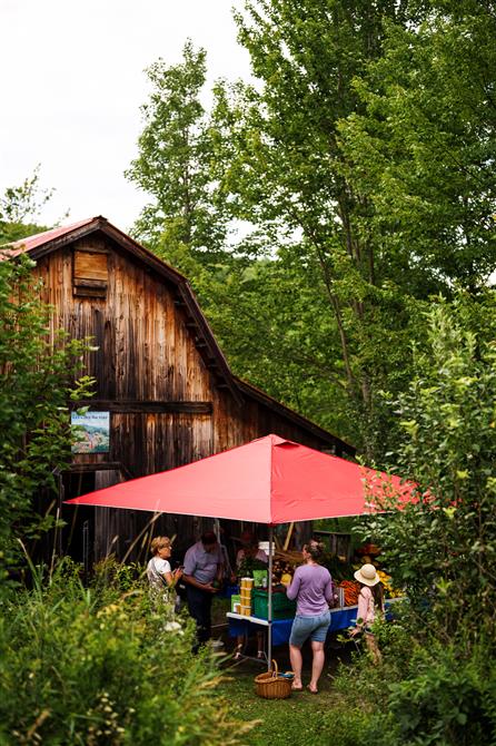 Marché (&copy;Charles & Annie Photographie 2024)