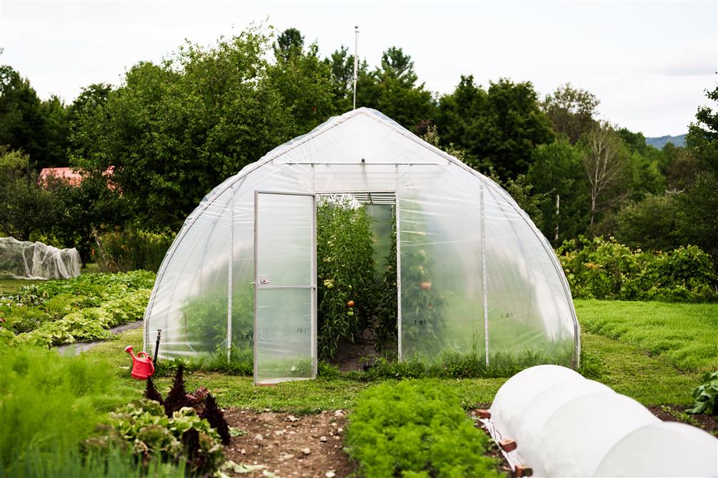 Jardins maraîchers (&copy;Charles & Annie Photographie 2024)