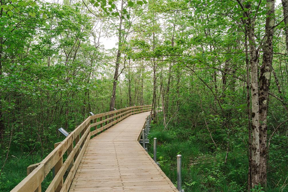 Parcours historique - Sentier du Pionnier (&copy;Jean-Michel Naud)