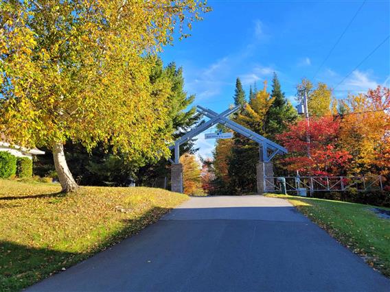Arche automne