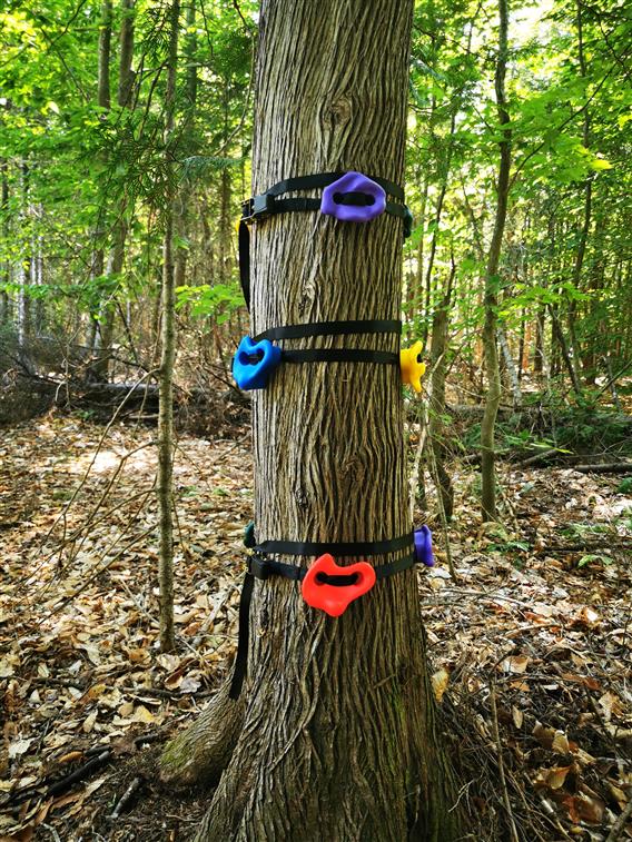 Autres activités - Escalade dans les bois pour enfants