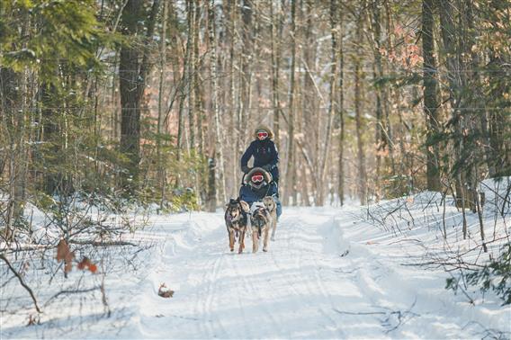 Traîneau à chiens, Lanaudière