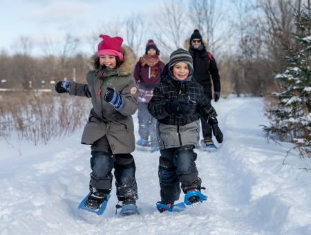 Sainte-Dorothée Woods