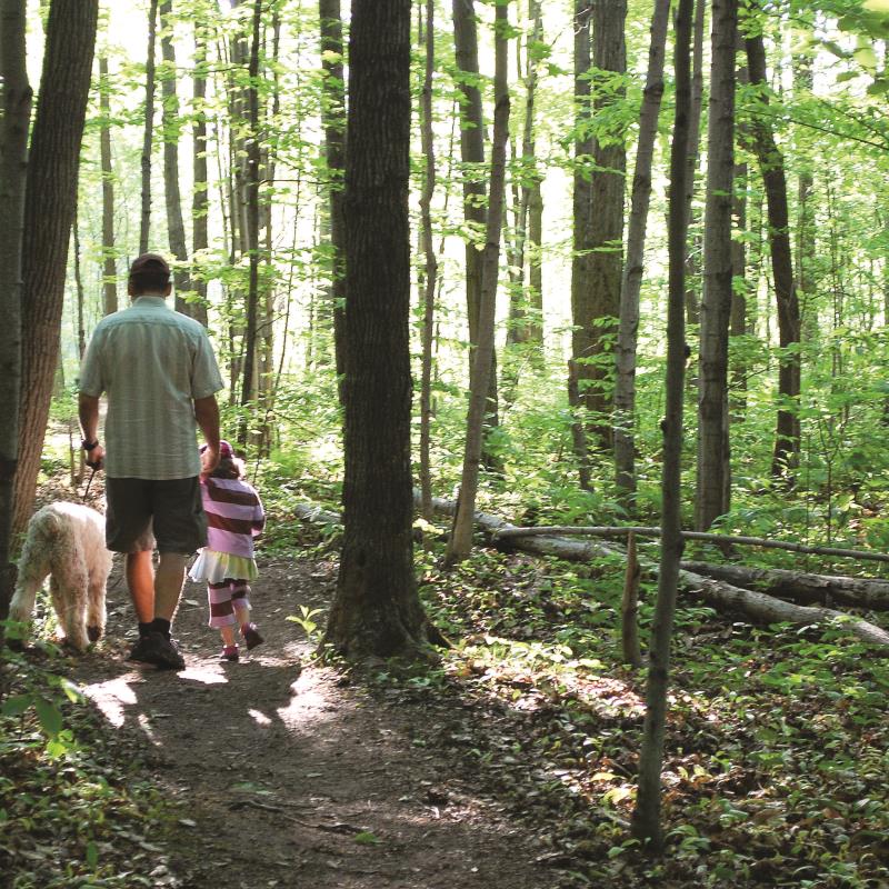 Bois de l’Équerre