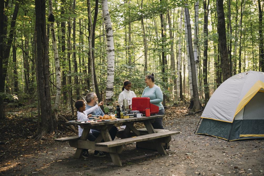Camping ST (&copy;La Halte Studio)