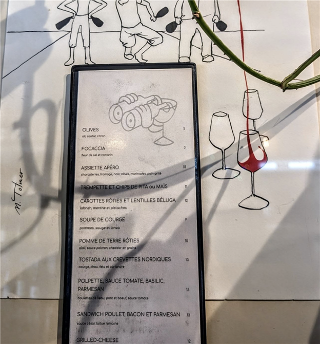 Capture d’écran, le 2024-12-18 à 18.24.02 (&copy;Lionel Furonnet)