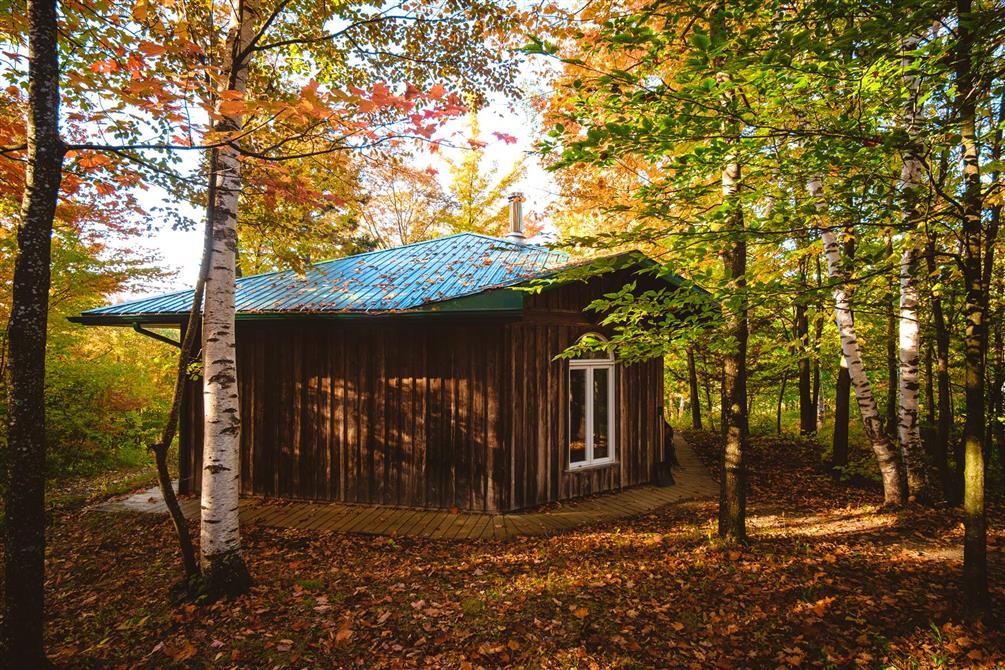 Chalet dans la nature (&copy;Photo de Patrick Dezothez)