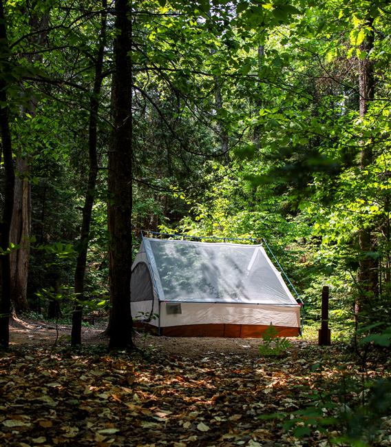 Chalets lanaudière - Camping
