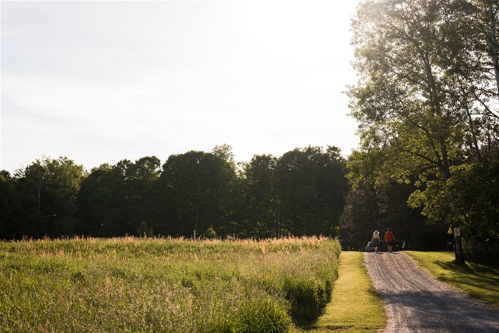 Champ fleuri (&copy;Charles et Annie Photographie)