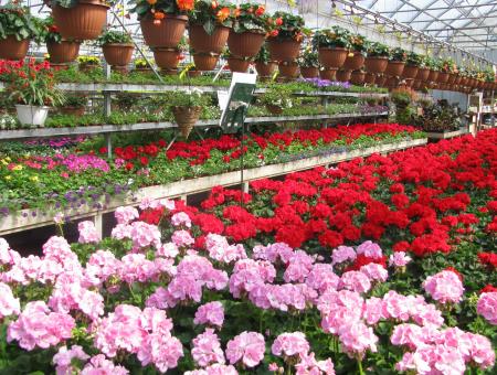 Charbonneau L’Expert