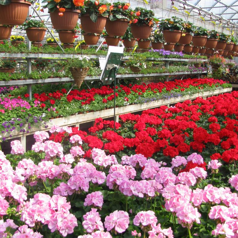 Charbonneau L’Expert