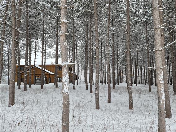 Chic cabane à sucre des chutes extérieur 4