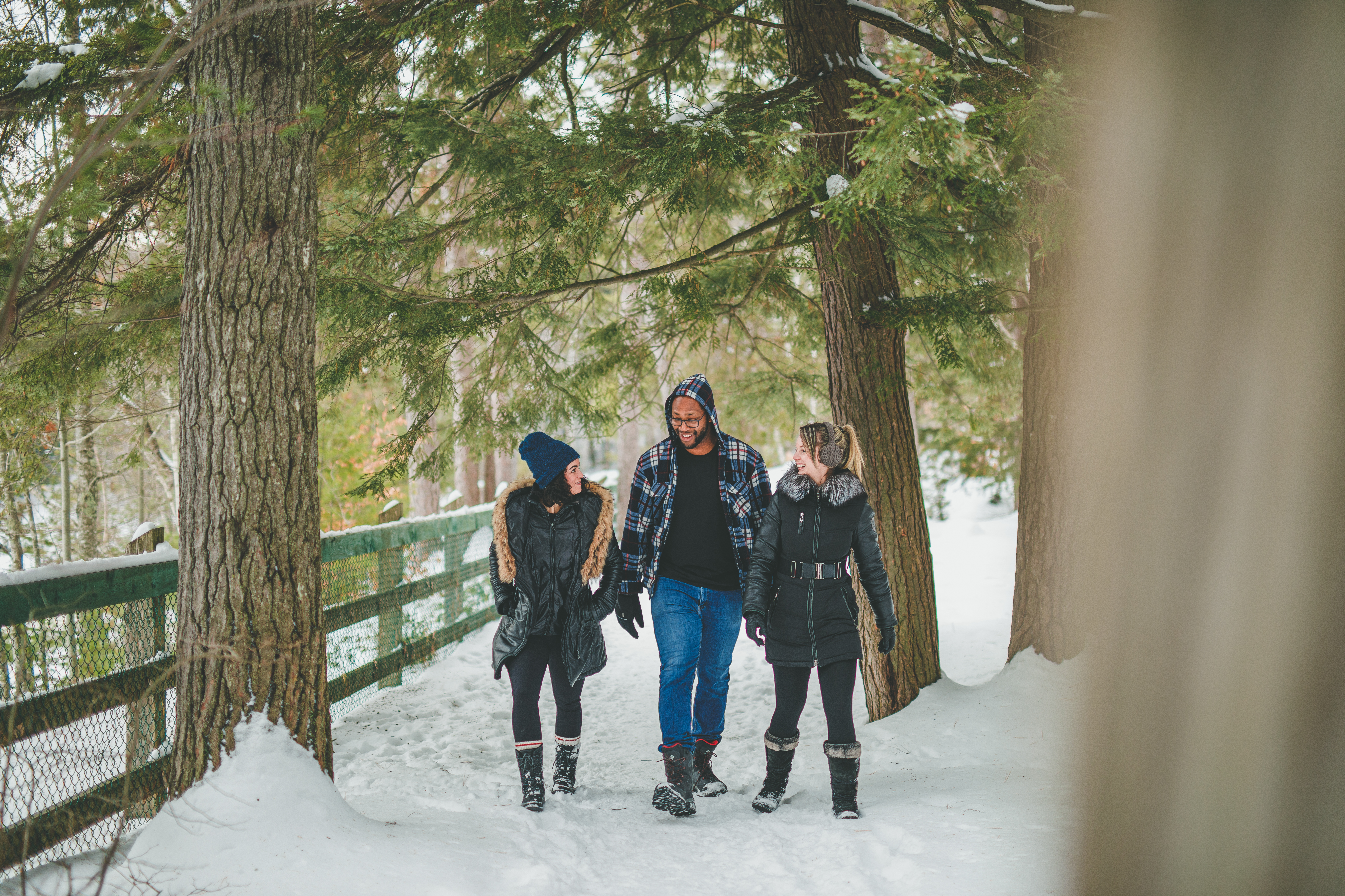 Parc des Chutes Dorwin - 6