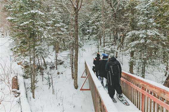 Chutes du Calvaire_2025_raquette_HR_credit photo_Simon Laroche50