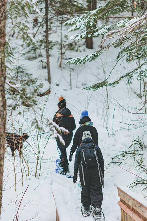 Chutes du Calvaire_2025_raquette_HR_credit photo_Simon Laroche53