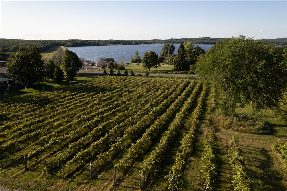 Photo Aerienne (&copy;Claudine Bernier Photographe)