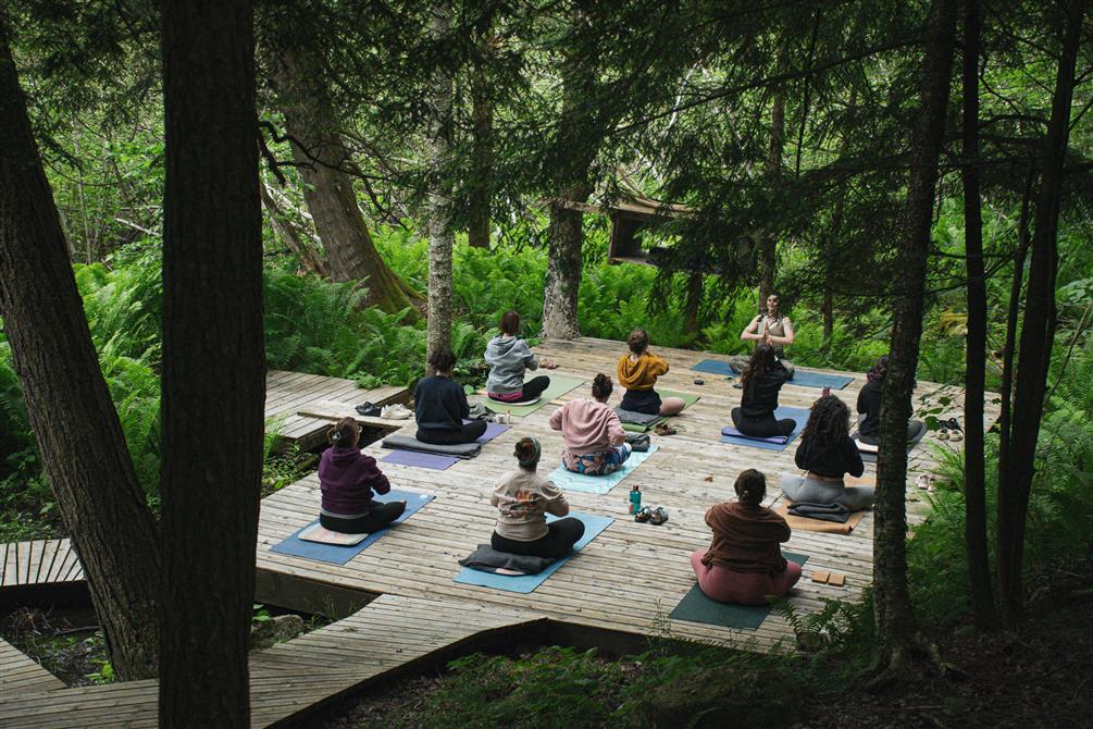 Cours de yoga (&copy;Frédérique Vigneault)