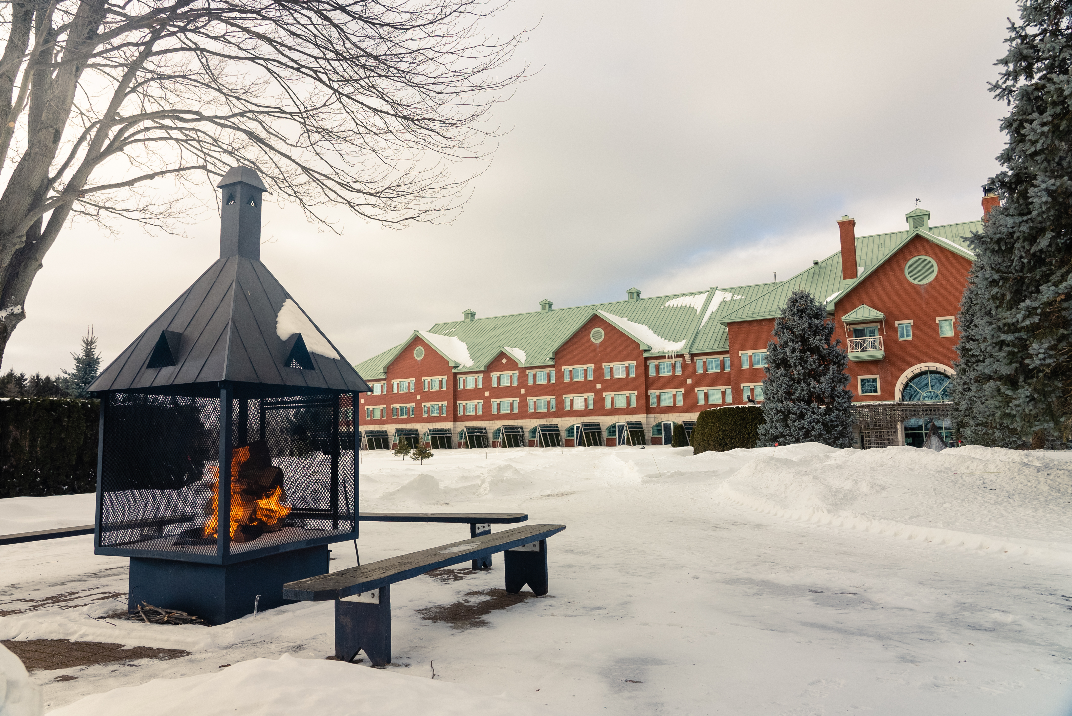 Cour arrière en hiver