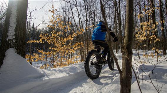 Les sentiers de fat bike du Corridor de Biodiversité