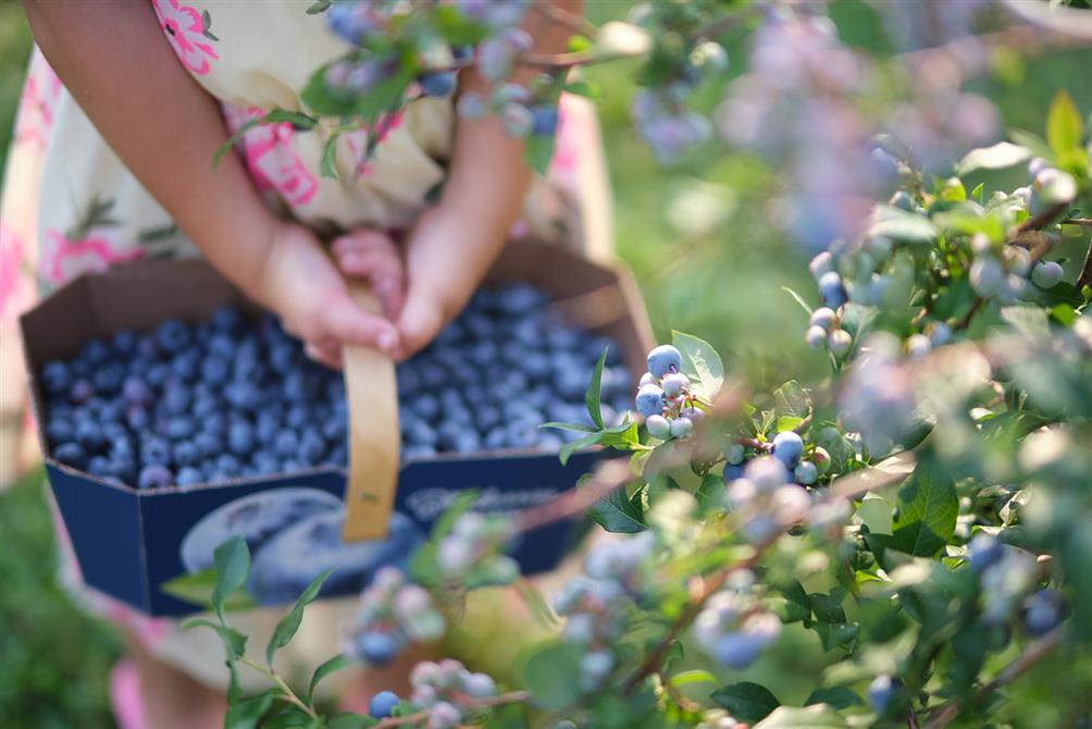 DSCF9553 (&copy;Réseau des Haltes gourmandes en Haute-Yamaska)