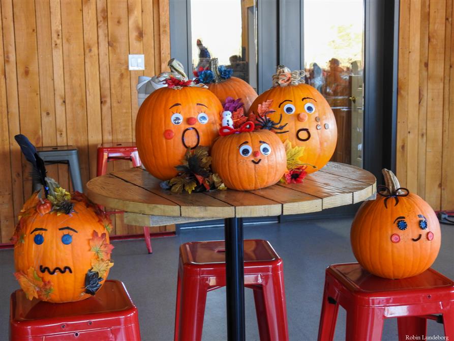 La foire aux citrouilles  (&copy;Verger Le Gros Pierre )