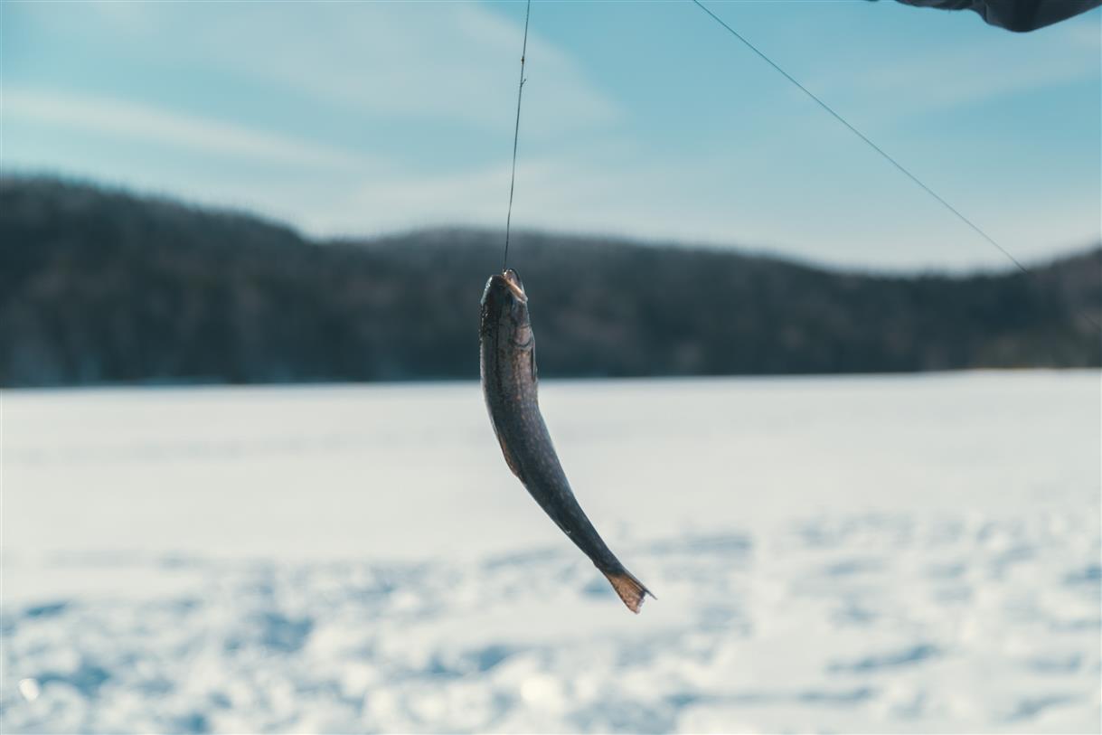 Domaine Bazinet_hiver_credit Louis Coutu63