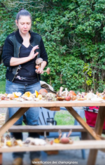 DruideSylvestre_Mauricie_Myco