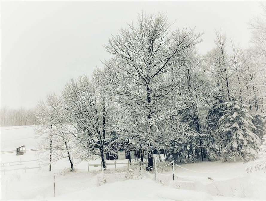 Ecurie l'hiver (&copy;Patrick Dezothez)