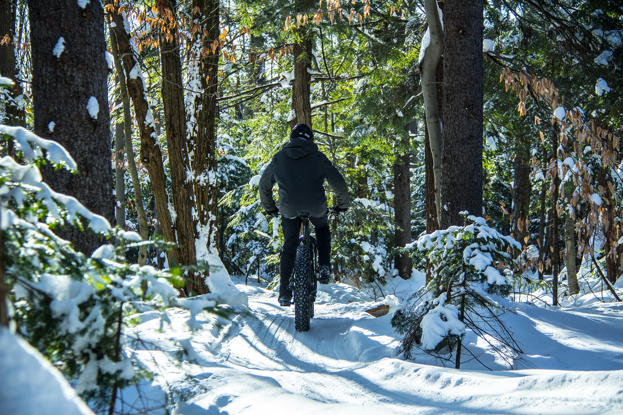 Fatbike