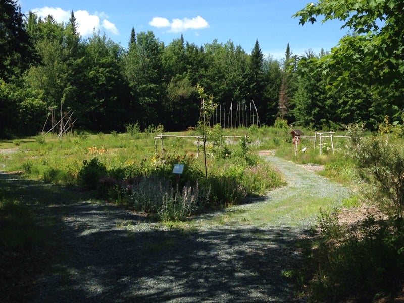 Entrée forêt nourricière (&copy;Herbes Orford)