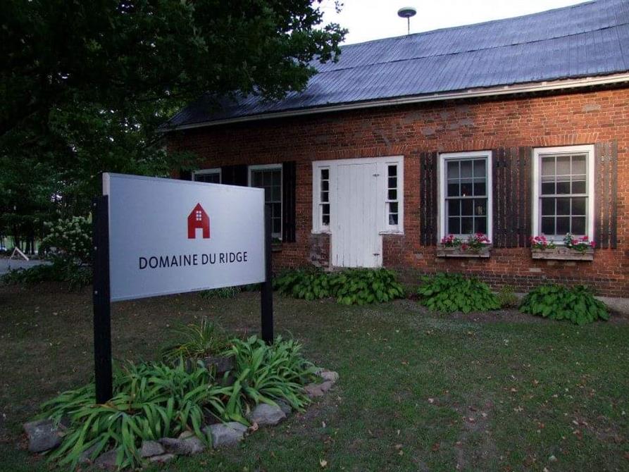 FB_IMG_1639060742163 (&copy;Susan Blinn)