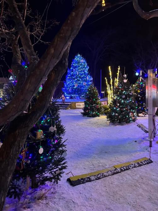 FB_IMG_1733662758770 (&copy;Productions Tamtam)