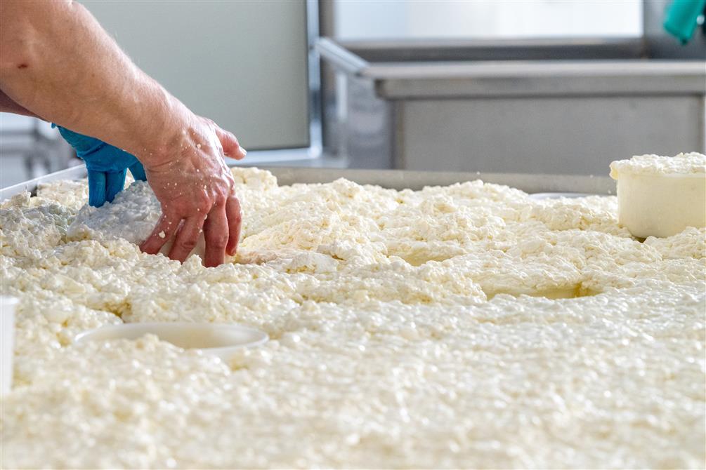 Fabrication de fromages (&copy;Fromagerie Missiska)