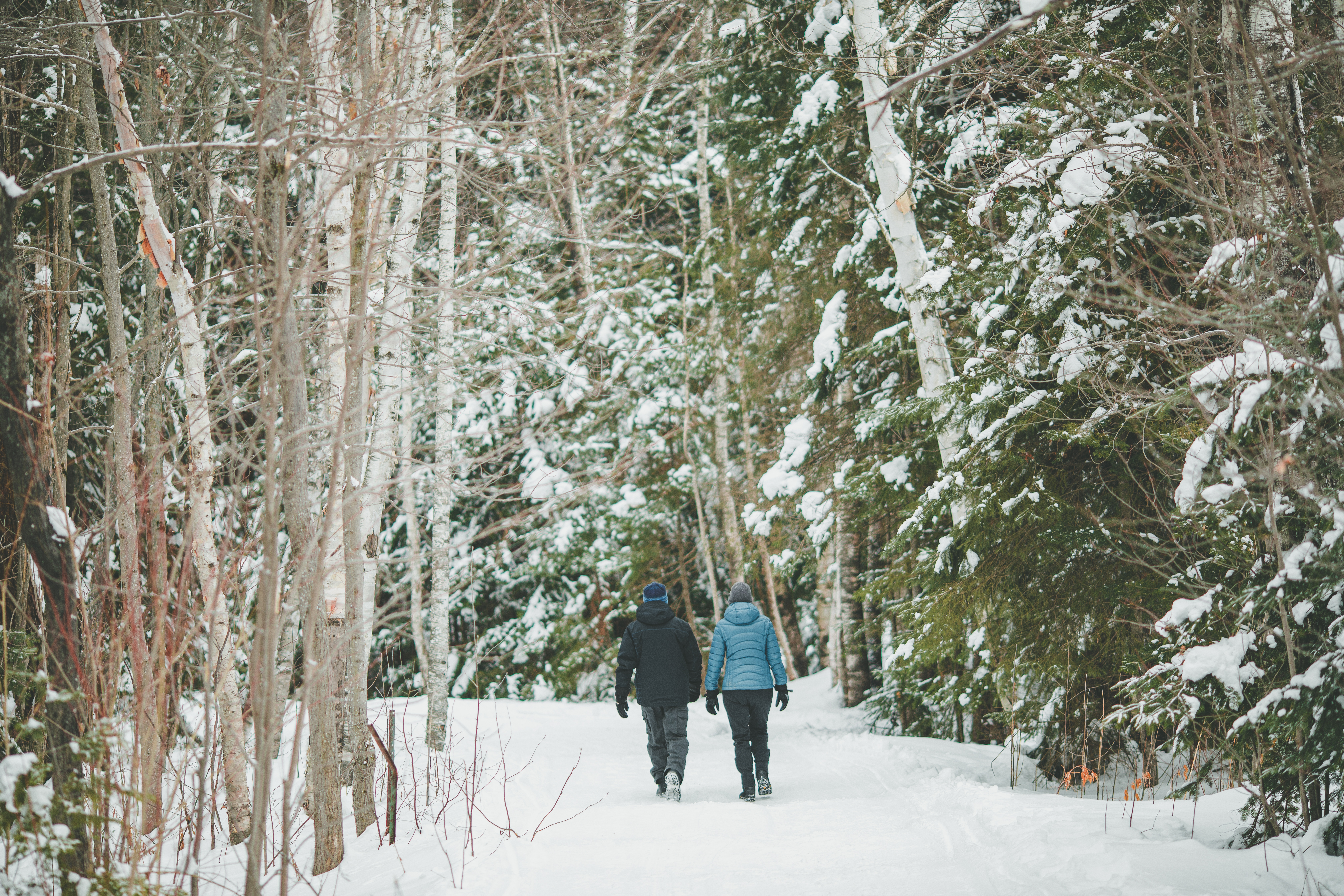Feerie hiver Saint-Donat_2020_credit Simon Laroche1