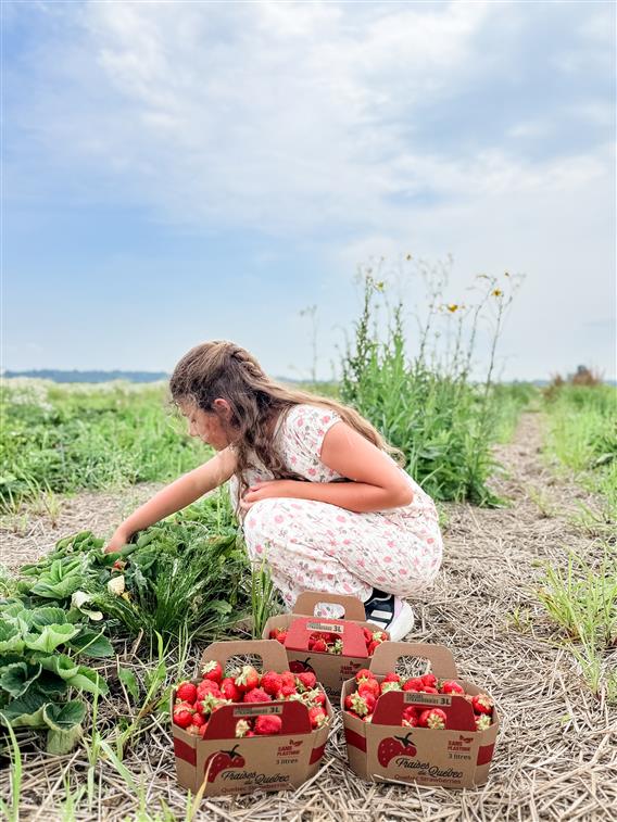 Ferme Guy Rivest - 3