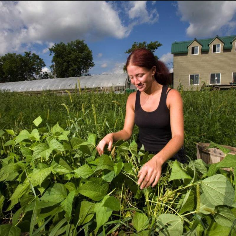 Ferme Jeunes au travail