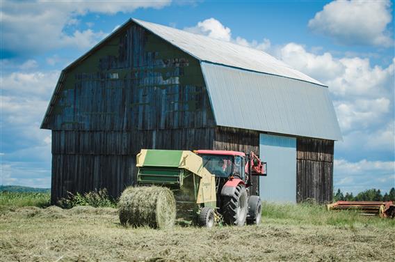 Ferme Saint-Vincent_credit Jimmy Vigneux50