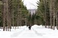 Fat bike - Forêt Ô Cascades