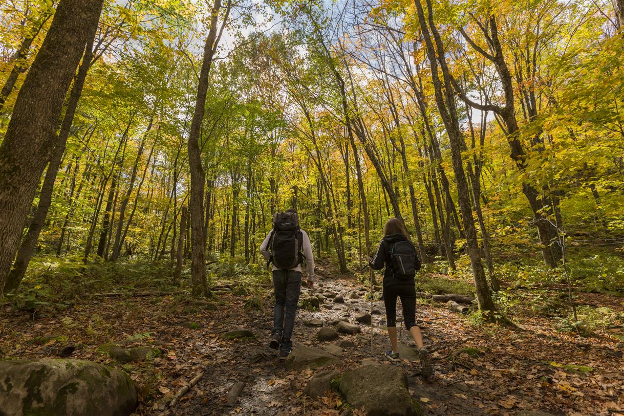 Parc régional de la forêt Ouareau - 5