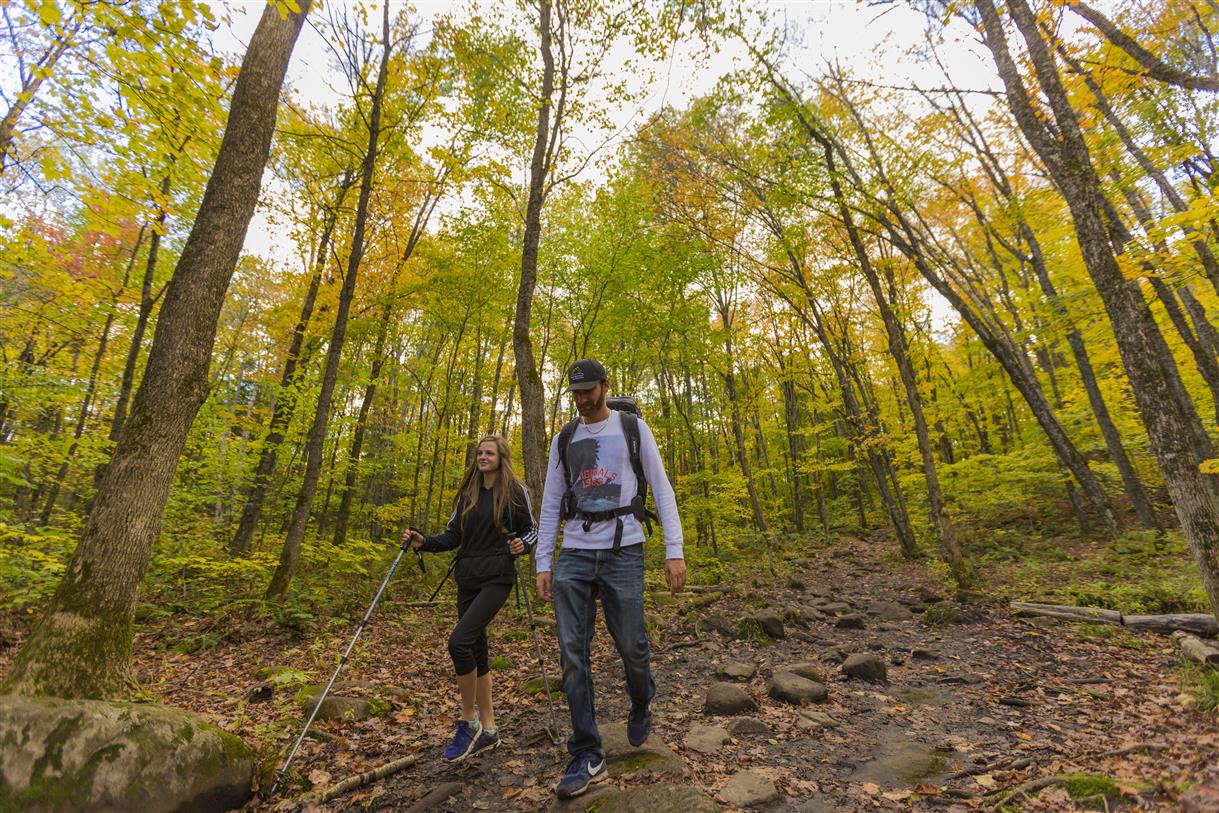 Parc régional de la forêt Ouareau - 6