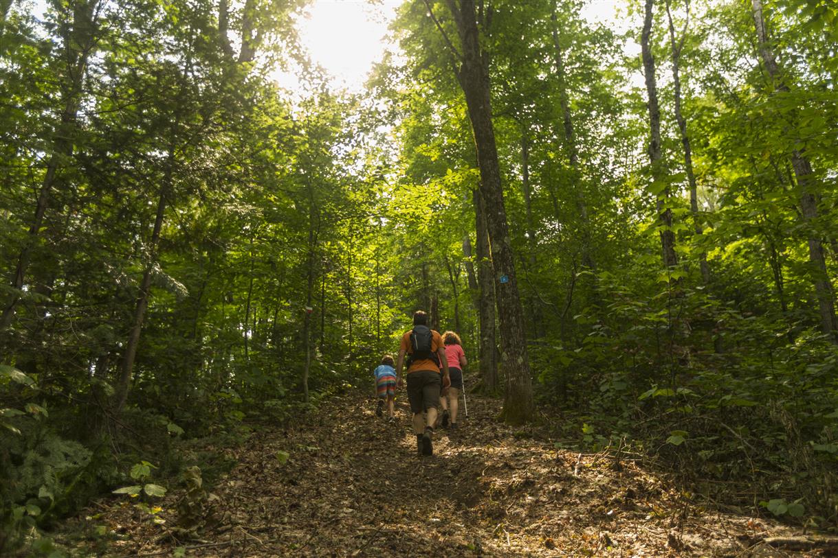 Parc régional de la forêt Ouareau - 8