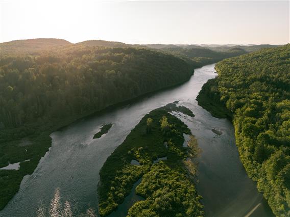Rivière Ouareau