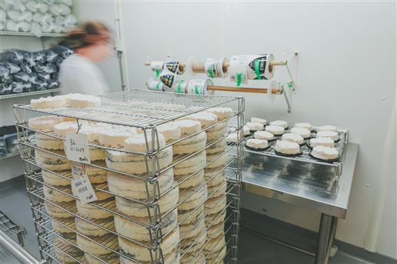 Fromagerie-Amafacon_ete2024_HR_credit-photo_Simon-Laroche33
