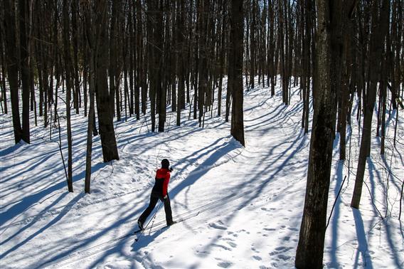 Ski de fond, Lanaudière