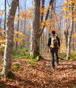 Parc national de Frontenac