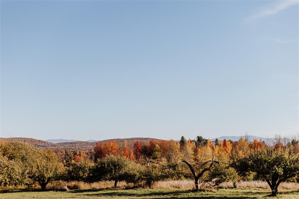 Heritage-2025-23 (&copy;Domaine Heritage)