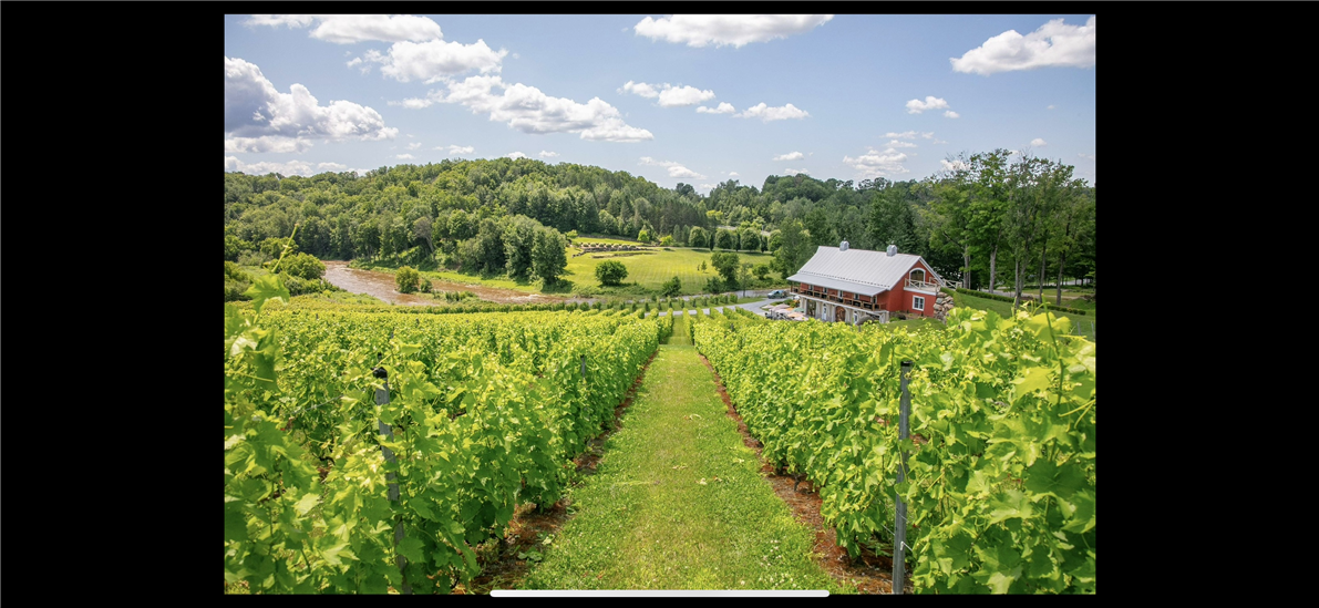 Vignoble extérieur (&copy;Vignoble Coteau des Artisans)